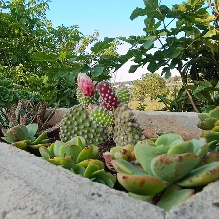 Relax Nel Salento Autentico, A Due Passi Dal Mare * פרזיצ'ה