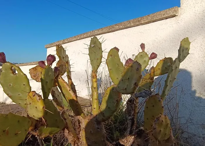 Relax Nel Salento Autentico, A Due Passi Dal Mare