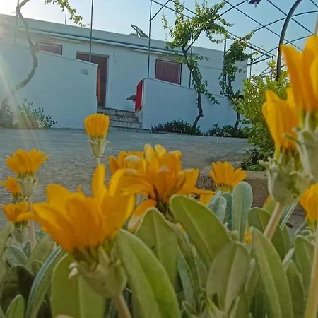 Relax Nel Salento Autentico, A Due Passi Dal Mare Ferienhaus