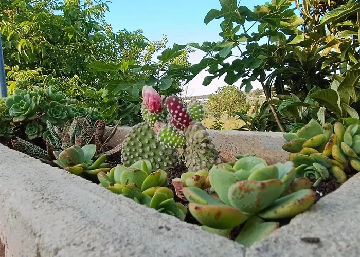 Relax Nel Salento Autentico, A Due Passi Dal Mare * Presicce
